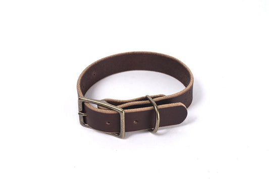 CHARLIE LEATHER DOG COLLAR - MOCHA/BRASS - 1" W X 14" LONG - IN STOCK